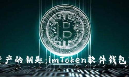 掌握數(shù)字資產(chǎn)的鑰匙：imToken軟件錢(qián)包下載全攻略