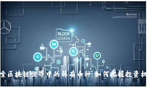 探索區(qū)塊鏈?zhǔn)澜缰械南∮袔欧N：如何把握投資機遇