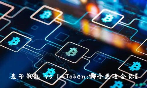 麥子錢包 vs imToken：哪個更適合你？