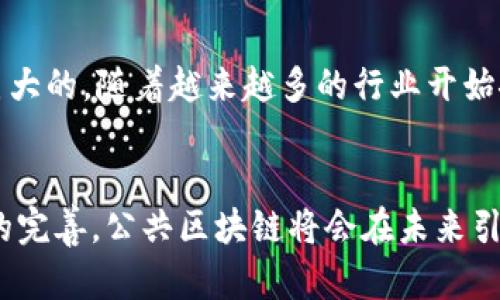 比特幣使用的區(qū)塊鏈屬于“公共區(qū)塊鏈”，也稱為“開放式區(qū)塊鏈”。這種類型的區(qū)塊鏈?zhǔn)峭耆_放的，任何人都可以參與網(wǎng)絡(luò)，驗(yàn)證交易和在區(qū)塊鏈上添加新的區(qū)塊。以下將從幾個(gè)方面詳細(xì)介紹比特幣的公共區(qū)塊鏈及其特點(diǎn)。

公共區(qū)塊鏈的基本概念
公共區(qū)塊鏈?zhǔn)欠植际劫~本技術(shù)的一種，它允許參與者在沒有中心化控制的情況下進(jìn)行交易。比特幣作為第一個(gè)成功應(yīng)用區(qū)塊鏈技術(shù)的數(shù)字貨幣，使用這種公共區(qū)塊鏈來記錄和確認(rèn)交易。每個(gè)交易都經(jīng)過網(wǎng)絡(luò)中各個(gè)節(jié)點(diǎn)的驗(yàn)證，確保交易的真實(shí)性和不可篡改性。

去中心化與安全性
比特幣的公共區(qū)塊鏈?zhǔn)侨ブ行幕?，這意味著沒有單一的實(shí)體或機(jī)構(gòu)控制該網(wǎng)絡(luò)。去中心化帶來了高度的安全性，因?yàn)楣粽弑仨毻瑫r(shí)控制網(wǎng)絡(luò)的大部分節(jié)點(diǎn)才能發(fā)起攻擊。此外，交易在區(qū)塊鏈上是不可更改的，一旦記錄，任何人都不能修改或刪除，這為用戶提供了極大的信任感。

透明性與隱私
盡管公共區(qū)塊鏈?zhǔn)峭该鞯?，任何人都可以查看交易記錄，但它并不?huì)泄露用戶的個(gè)人信息。比特幣交易是通過公鑰和私鑰進(jìn)行確認(rèn)的，用戶的身份信息是高度匿名的。因此，在享受透明性的同時(shí)，用戶的隱私也得到了保護(hù)。

智能合約與擴(kuò)展性
雖然比特幣的主要功能是作為一種數(shù)字貨幣，但公共區(qū)塊鏈的概念也為智能合約的實(shí)現(xiàn)提供了基礎(chǔ)。例如，以太坊就是在公共區(qū)塊鏈的基礎(chǔ)上，增加了智能合約的功能，允許用戶自動(dòng)執(zhí)行合約條款。比特幣的公共區(qū)塊鏈在擴(kuò)展性方面也面臨挑戰(zhàn)，隨著用戶數(shù)量的增加，交易擁堵的問題逐漸顯現(xiàn)。

比特幣的應(yīng)用與未來
比特幣的公共區(qū)塊鏈不僅可以用于貨幣交易，還可以擴(kuò)展到其他領(lǐng)域，如供應(yīng)鏈管理、身份驗(yàn)證和投票系統(tǒng)等。這種技術(shù)的潛力是巨大的，隨著越來越多的行業(yè)開始探索區(qū)塊鏈的應(yīng)用，公共區(qū)塊鏈將扮演越來越重要的角色。

總結(jié)
比特幣使用的公共區(qū)塊鏈代表了去中心化金融的一種新形態(tài)，推動(dòng)了數(shù)字貨幣和區(qū)塊鏈技術(shù)的發(fā)展。隨著技術(shù)的進(jìn)步和相關(guān)法規(guī)的完善，公共區(qū)塊鏈將會(huì)在未來引領(lǐng)更多行業(yè)的變革。