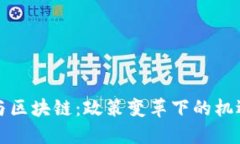 比特幣與區(qū)塊鏈：政策變革下的機(jī)遇與挑戰(zhàn)