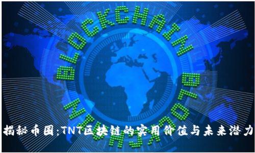 揭秘幣圈：TNT區(qū)塊鏈的實(shí)用價(jià)值與未來(lái)潛力