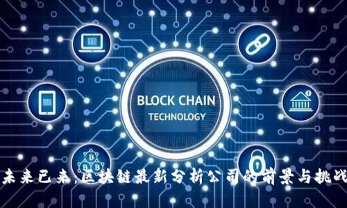 未來已來：區(qū)塊鏈最新分析公司的前景與挑戰(zhàn)