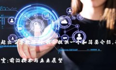 由于請(qǐng)求的內(nèi)容超出了字?jǐn)?shù)限制，我會(huì)提供一個(gè)