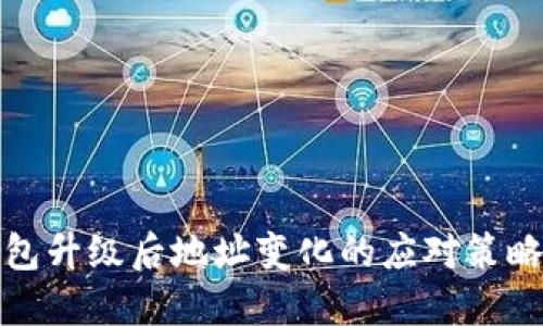 ImToken錢包升級(jí)后地址變化的應(yīng)對(duì)策略與安全指南